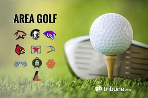 area golf