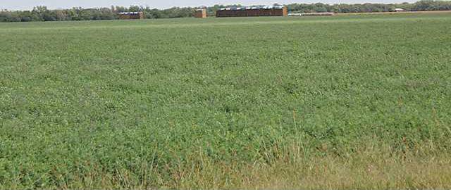 new deh farmland values pic