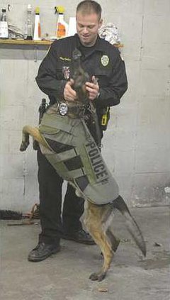 new deh police dog body armor kia pic