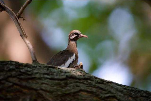 new Deh marsh musings pic