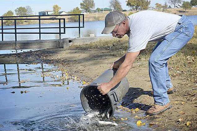 new deh bass coming to vets main pic web