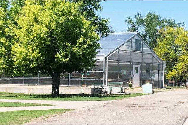 new vlc LSH-greenhouse.gif