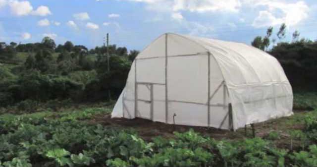 9756e634527ee658ea2e906a115c9a4e165a33882551c723cb46d8f7374afcef