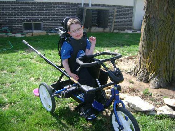 biz or loc Sunflower bike