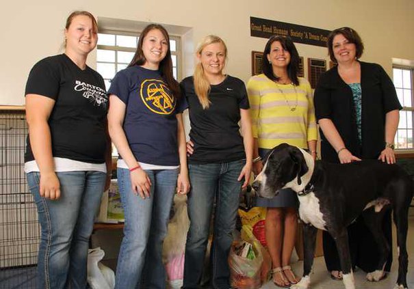 loc slt BCC standalone