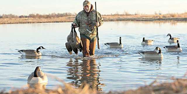 new deh hunting amendment story pic web
