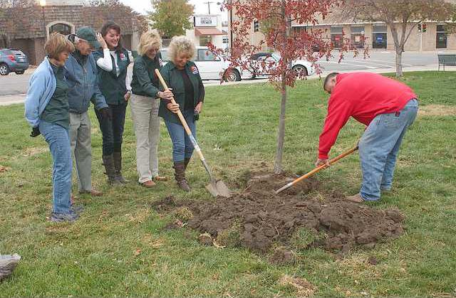 new deh tree for chuck planting pic