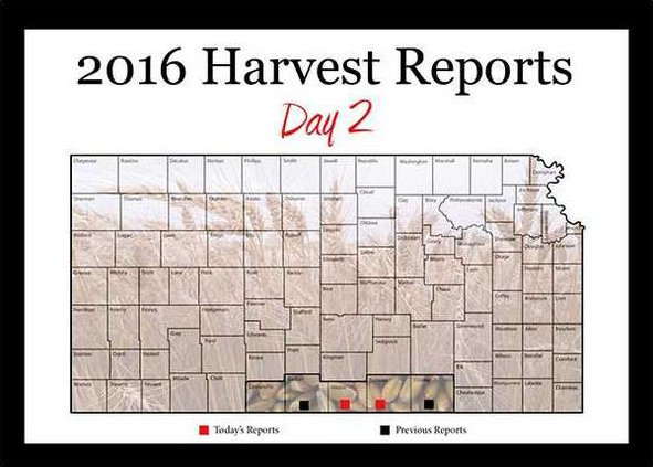 new jm kansas wheat2