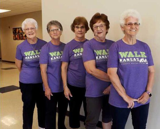 new slt walk fit team.gif