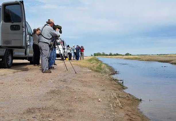 new slt wings courtesy-photo