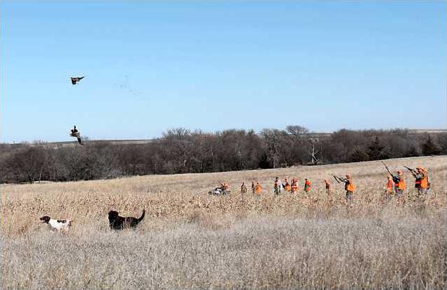 new vlc Wounded-Warrior-1.gif