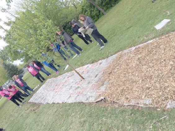 new vlc orchard 2