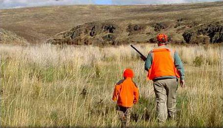 new vlc youth pheasant season photo 2