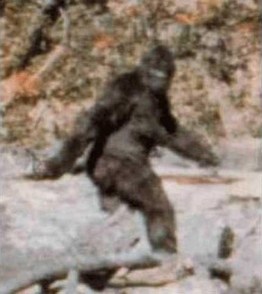 otm vlc bigfoot-PattersonGimlin film frame 352.gif