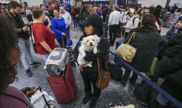 1f0f8042a412f665eb95d51de1a42125887c527c878ccbae03db610ff4be0950