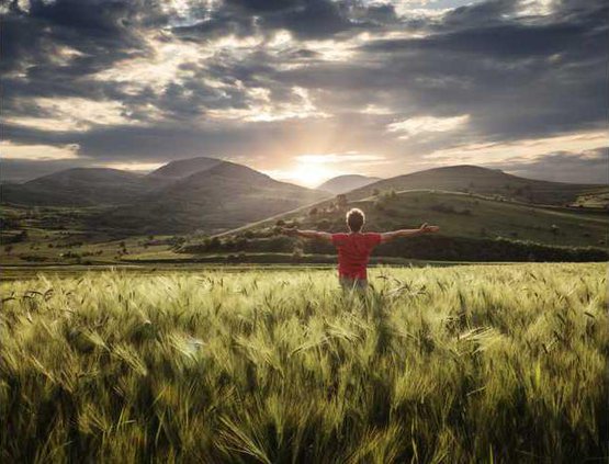 37b96605db68afa2cd2f53c4dabdea4b9cb5fb7eeee120aeda1b0c05f2070e8d