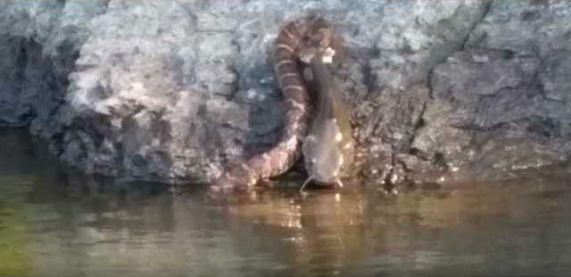 3ef0ea4f9e367c3b80703c85907f1d76091668a4a25c127f810e69651b18089c