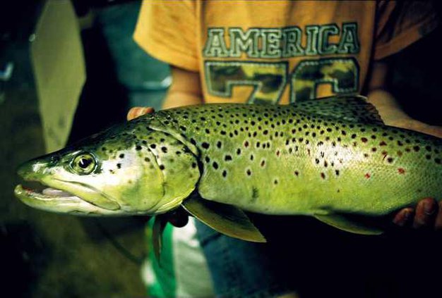 9a34290e1b47170e93a1176d2c8d6baa48b73421c9d10264fce109468078f953