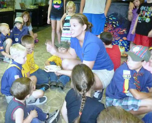better bearded dragon pet alternate crop