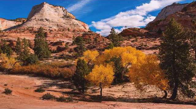 c586f7328571ceac7d658cedd4843f83653251af3f1ec9f2d04131165864ce55