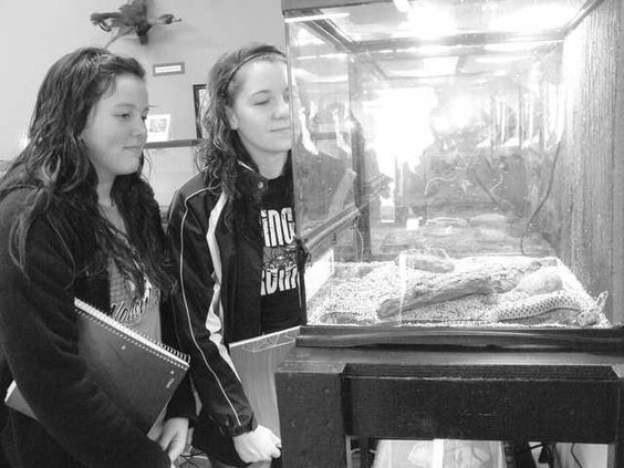 hoi kl Breanna Burns.tif