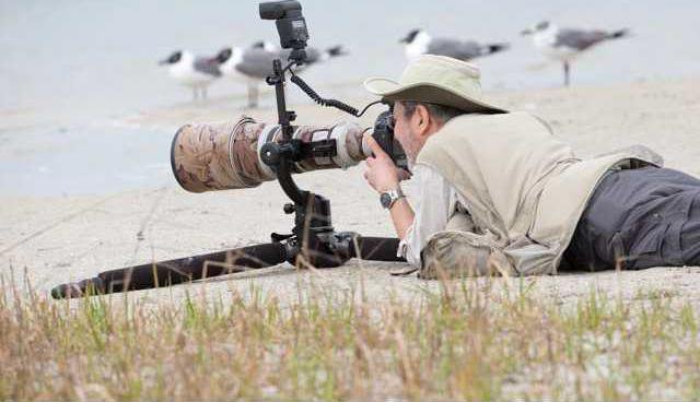 loc lgp marshmusingspic1