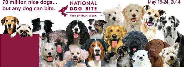 new deh dog bite prevention week graphic
