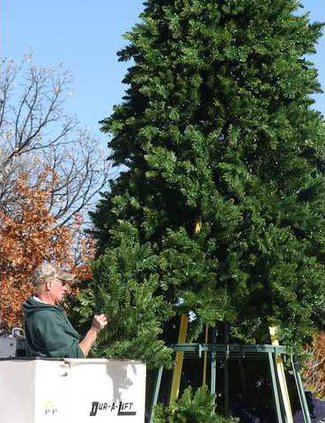 new deh mayor christmas tree main pic