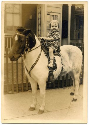 otm_vlc_saddle pony.jpg