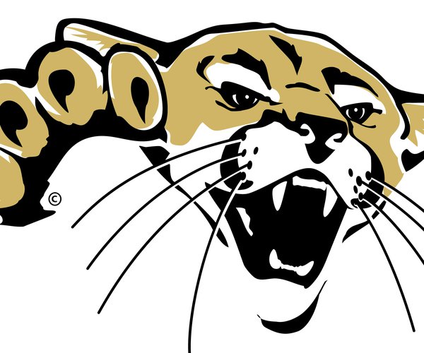 barton_cougar_head1.jpg