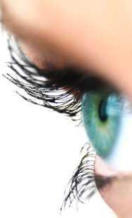 581be31cd5f8dc95922d301f1166cac77188c3636cc8ae7b580ac4128ecf60b5