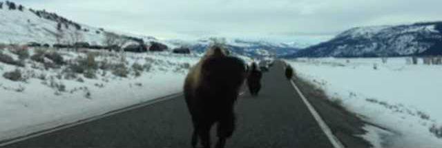 6ba6dff1f3933d9850267113de9d00450aaaba2f5c4ff2b9eec291a894dddce2