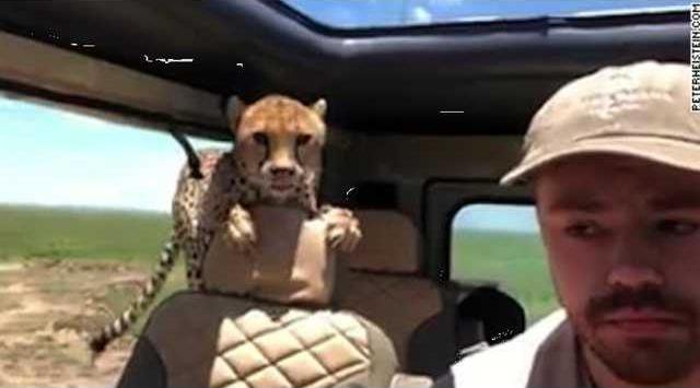 9c7b544bfbaa718a2a8b4f60b17fdfd97cb02b185e2dc4a509a5a49a66713ca8