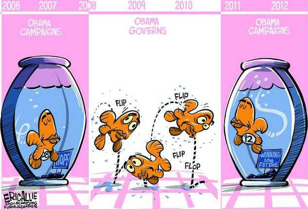 Fish out of water.tif