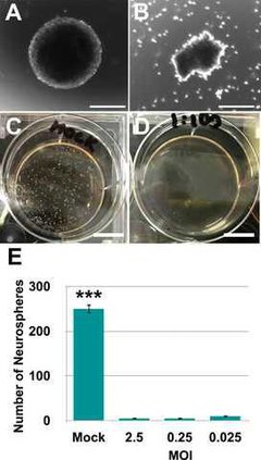 c2f45ea2db46da974f13aff1f5100a5f17fd3d4fa821c0490fd57329422a6925