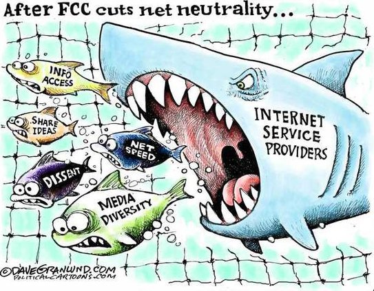 edi lgp cartoon