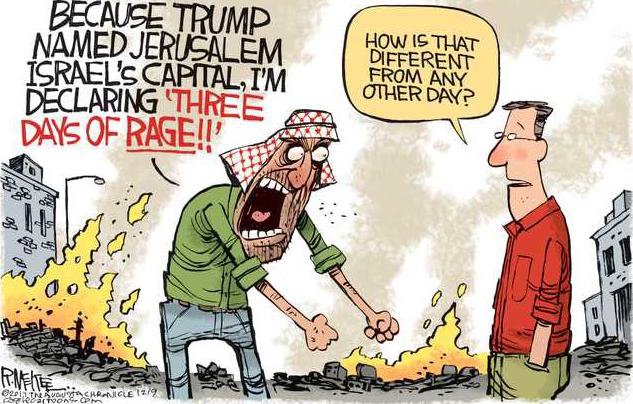 edi lgp cartoon