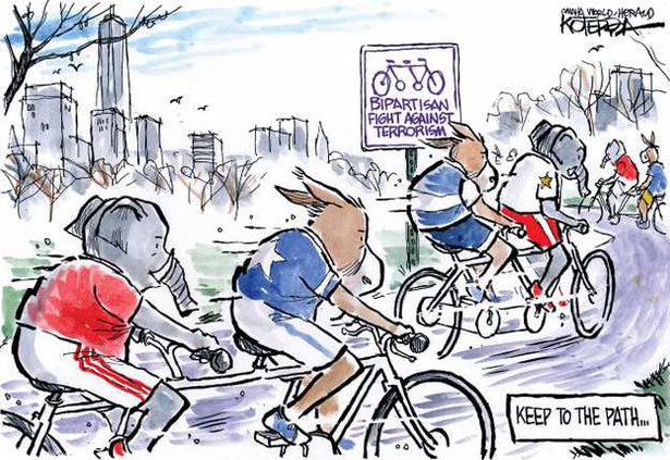 edi lgp cartoon