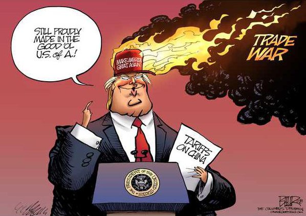 edi lgp cartoon