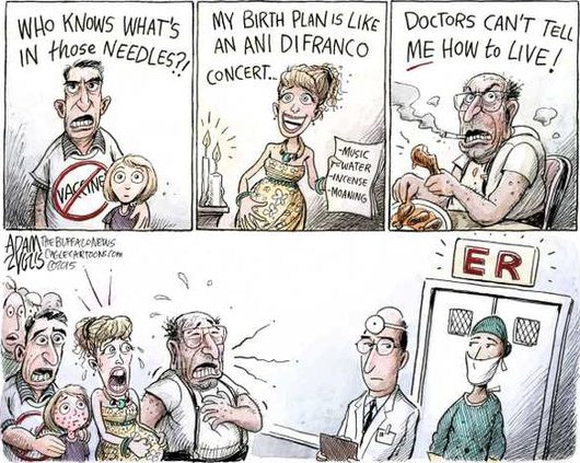 edi lgp cartoon