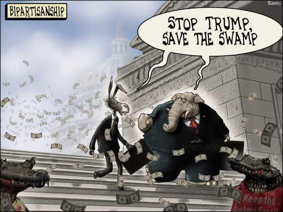 edi lgp cartoon