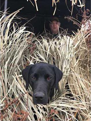 loc lgp marshmusings pic 1web