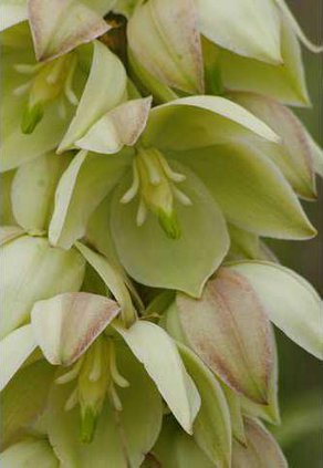 loc lgp wetlandexplorerpic1