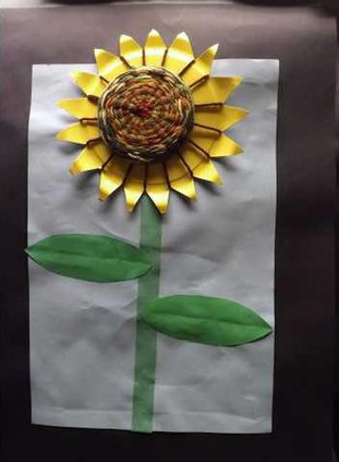 d-first-sunflower