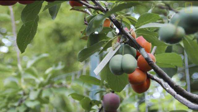 0ec5616d2fb8c09f4970fe8ffcf823ea8bfff5ea7b15a7c05c37cef280a93bab