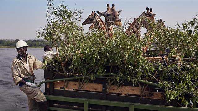 1038b7fdf4f9d0bb75f4c11345f7d1887b63aa39daac800f89f3659da21bb600