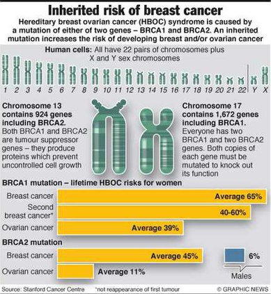 Infographic