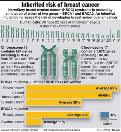 Infographic