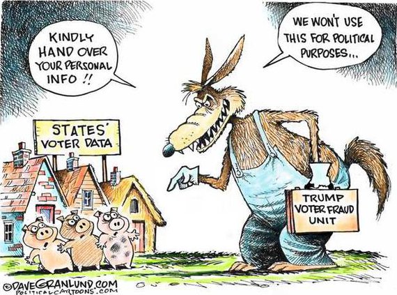 edi lgp cartoon