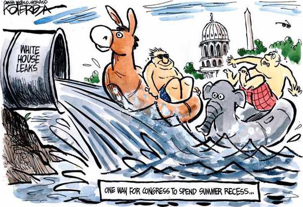 edi lgp cartoon  